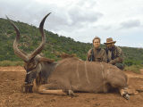 Non-trophy kudu